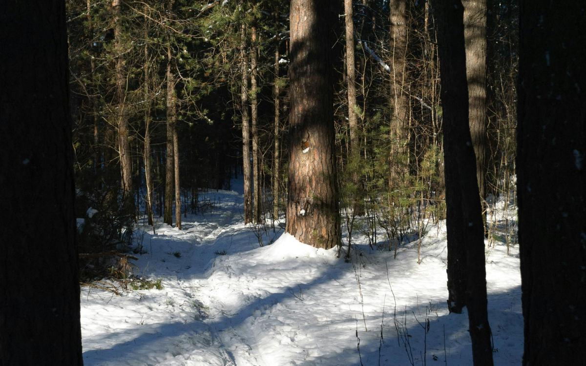 Homes Near Trails, Rivers, or Lakes in Hugo, OK: How Lifestyle Impacts Property Value